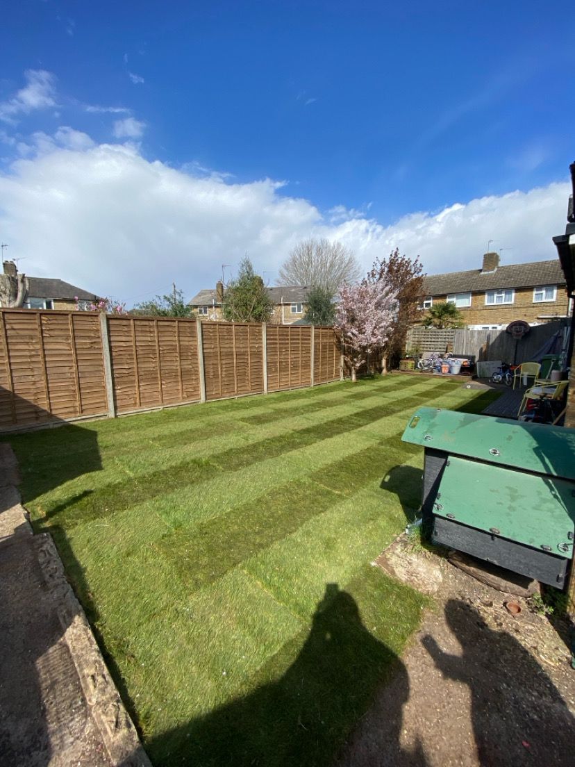 Freshly laid turf lawn with wooden fence panels installation