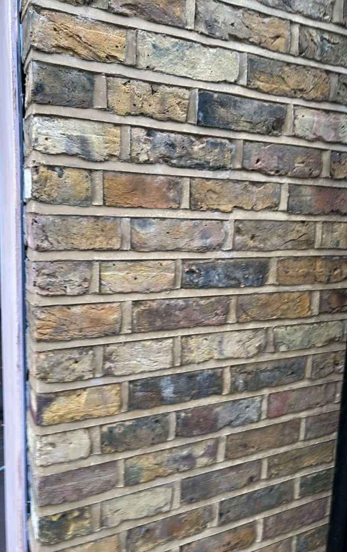 Weather Struck Pointing